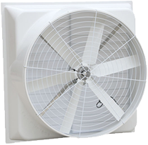 Ventilation Fans